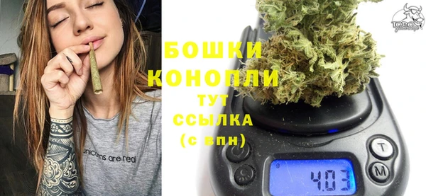 сатива Абаза