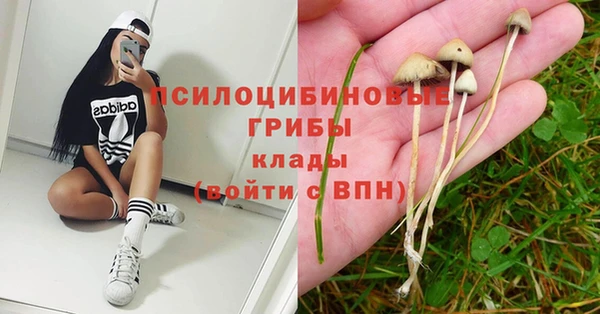 spice Нефтекумск