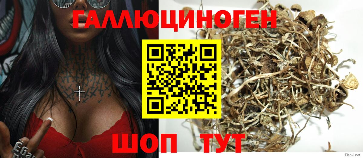 Псилоцибиновые грибы мухоморы  Вход с VPN  Галлюциногенные грибы Magic Shrooms  Златоуст 
